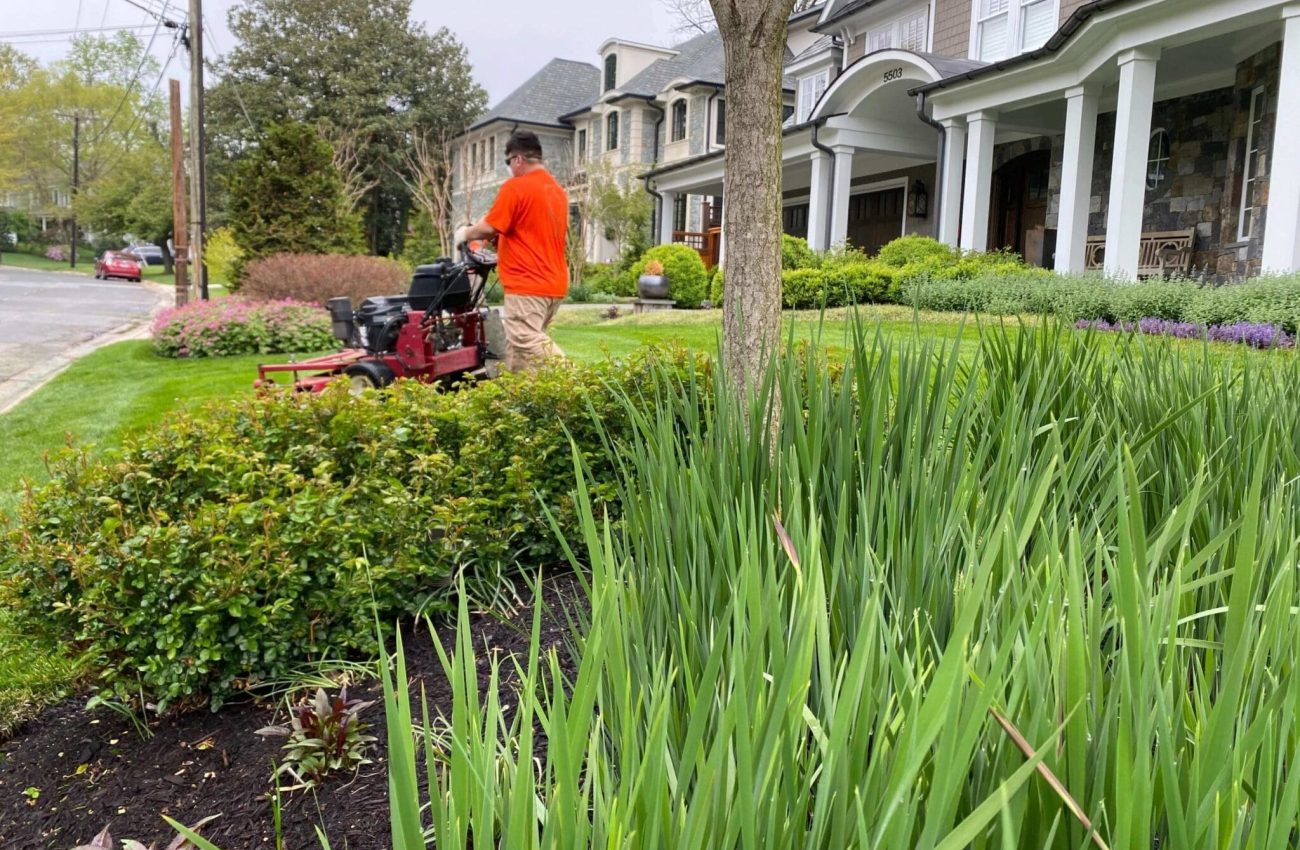 imgi_177_00-crew-mowing-lawn-Bethesda-scaled-1